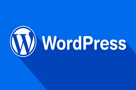 WordPress CPU占用100%很高 WordPress CPU占用100%很高