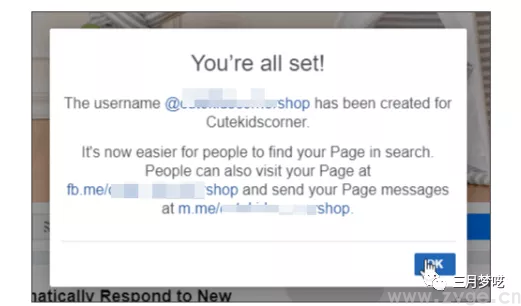 用Facebook引流Shopify独立站,如何优化Facebook商户页面?(图10) 用Facebook引流Shopify独立站,如何优化Facebook商户页面?