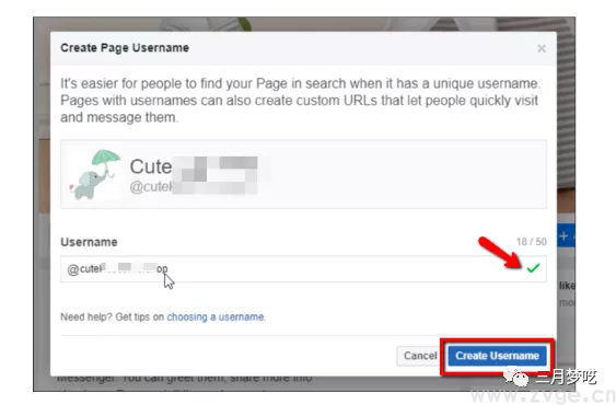 用Facebook引流Shopify独立站,如何优化Facebook商户页面?(图12) 用Facebook引流Shopify独立站,如何优化Facebook商户页面?